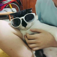 Mụ tác giả