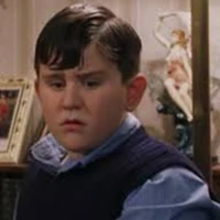 dudley dursley