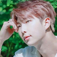 Kim Nam-Joon(RM)