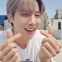 Jung Hoseok-anh hai Y/n