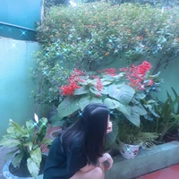 tác giả (vai thập cẩm)