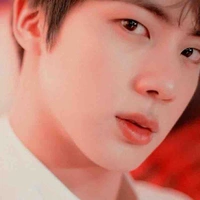Kim SeokJin 