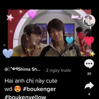 Shiraiki munni
