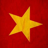 Hệ thống VN-19