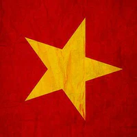 Hệ thống VN-19