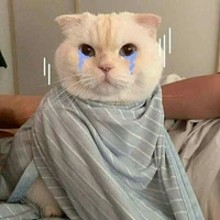 cô gái đặt nhiều câu hỏi