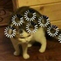 Coan t/g bị ảo nặng :