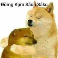 tổng hợp 