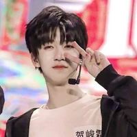 Hạ Tuấn Lâm