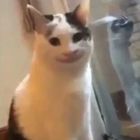 Con T/g lười nhất vũ trụ