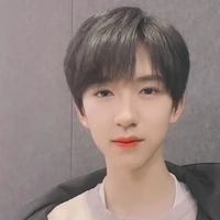 Hạ Tuấn Lâm