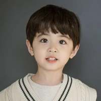 Lưu Hiên Vũ