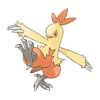 wakashamo