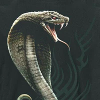 Rắn hông lươn lẹo