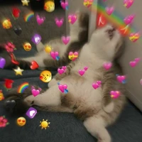 nhóm mấy cô gái