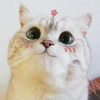 Meily - Mei xin chào cả nhàaaaa