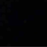 Đồng bọn hơn mấy trăm ng