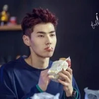 Lão Miêu (ZGDX_Cat)