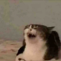 Phở tái nạm ít hành nhiều rau:)))