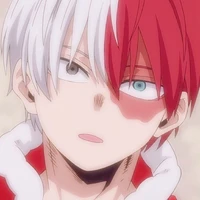 todoroki Shoto