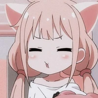 Mokowashu Y/N