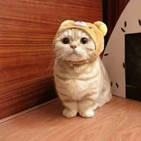 Nhân Vật Phụ 