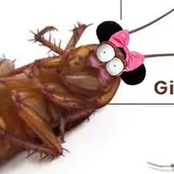 bé cưng tiểu cường