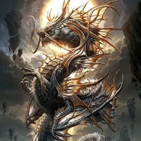 Hoàng Long(Dragon)