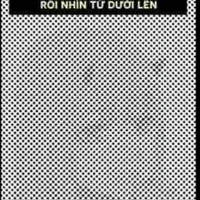 Nv quần chúng