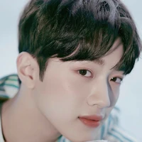 Lai Guan Lin