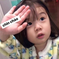 tác giả hay lặn ✌🏻