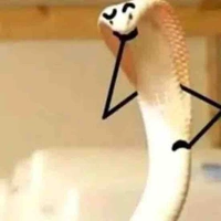 Nhân vật cân mọi vai trò