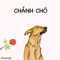 Tác giả