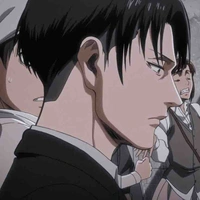 Levi Ackerman 