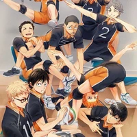 team Karasuno