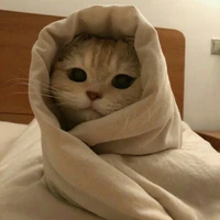 Tác Giả