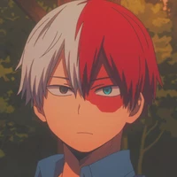 Todoroki shoto