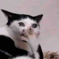 Tác giả bị thiểu năng💅🏻😾
