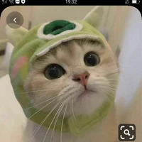thằng tác giả