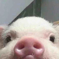Tác giả