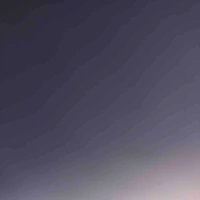 Người hướng dẫn