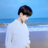 Trương Chân Nguyên (Anh)