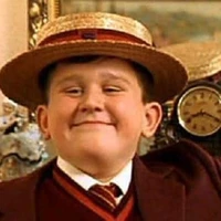 Dudley Dursley