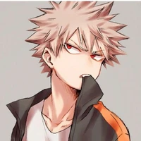 bakugou kastuki