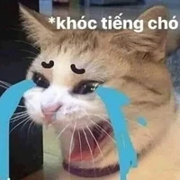 Tác giả cụk súk