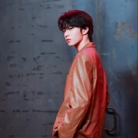 Lưu Diệu Văn( Trc khi xuyên)