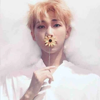 Kim NamJoon ( ông bố tuỵt dời )