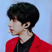 Hạ Tuấn Lâm