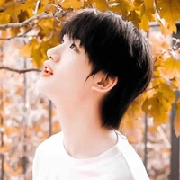 Đinh Trình Hâm