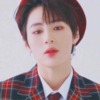 Ha sung woon